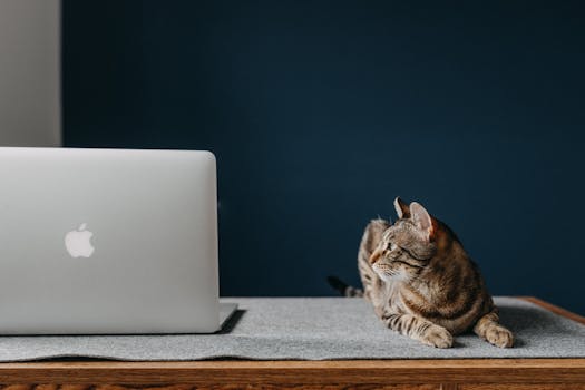 calm workspace with a computer